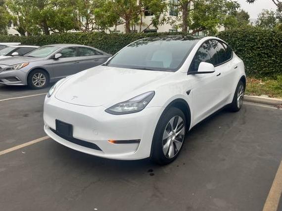 TESLA MODEL Y 2024 7SAYGDEEXRF089698 image
